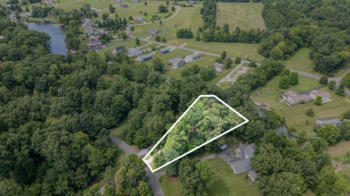 Waterfront property with private dock - photo 12