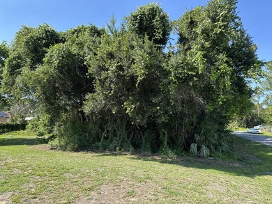 Sale includes only the vacant land portion of the current - photo 1