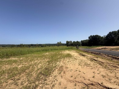 New Development inside the city limits of Heber Springs. River - photo 6