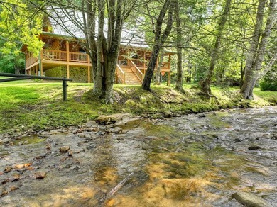 (private lake, pond, coastal) Home For Sale in Ellijay Georgia