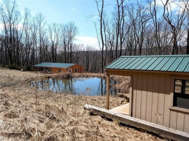 Lake Home Off Market in Dundee, New York