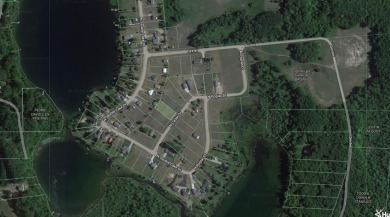 Lake Lot For Sale in Irons, Michigan