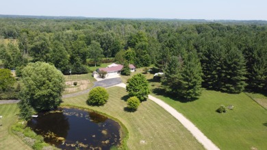 Lake Home Off Market in Morley, Michigan