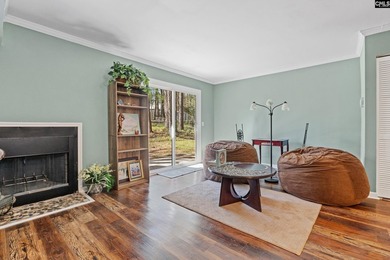 Newly remodeled Cute Townhome nestled in the heart of Irmo. Open - photo 4