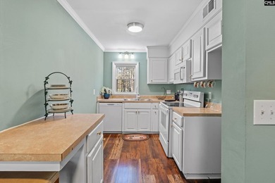 Newly remodeled Cute Townhome nestled in the heart of Irmo. Open - photo 7