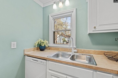 Newly remodeled Cute Townhome nestled in the heart of Irmo. Open - photo 8