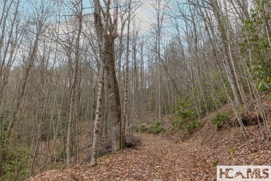 A blank canvas awaits you on this 35+/- acre unrestricted land - photo 11