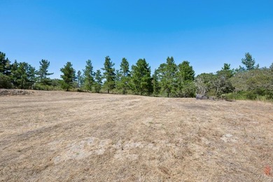 Imagine a blank canvas of 6.94+/- acres, where the beauty of the - photo 11
