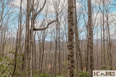 A blank canvas awaits you on this 35+/- acre unrestricted land - photo 12