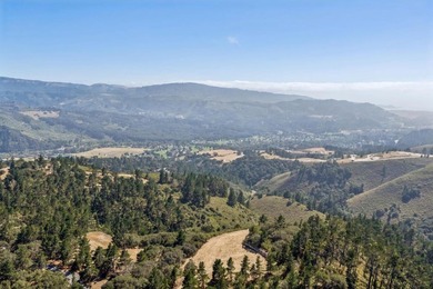 Imagine a blank canvas of 6.94+/- acres, where the beauty of the - photo 12