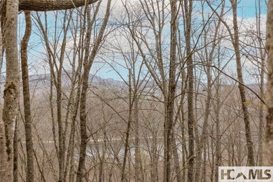 A blank canvas awaits you on this 35+/- acre unrestricted land - photo 13
