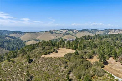 Imagine a blank canvas of 6.94+/- acres, where the beauty of the - photo 13