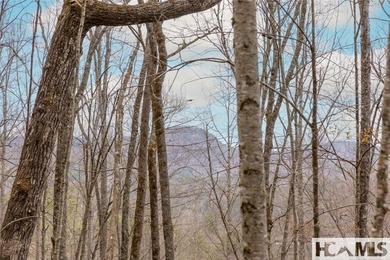 A blank canvas awaits you on this 35+/- acre unrestricted land - photo 14