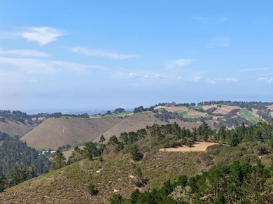 Imagine a blank canvas of 6.94+/- acres, where the beauty of the - photo 14