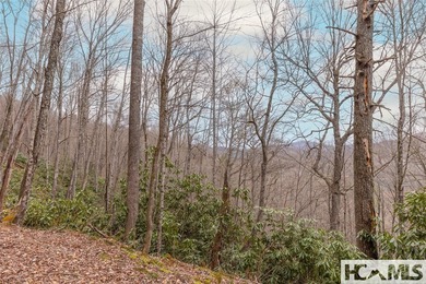 A blank canvas awaits you on this 35+/- acre unrestricted land - photo 16