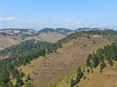 Imagine a blank canvas of 6.94+/- acres, where the beauty of the - photo 16