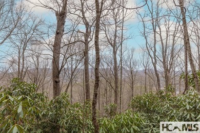 A blank canvas awaits you on this 35+/- acre unrestricted land - photo 17