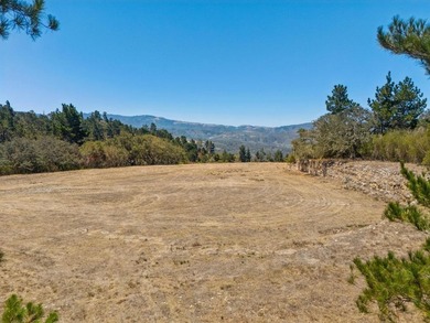 Imagine a blank canvas of 6.94+/- acres, where the beauty of the - photo 18