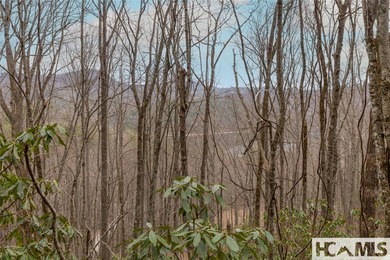 A blank canvas awaits you on this 35+/- acre unrestricted land - photo 19