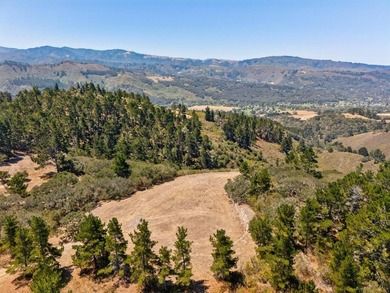 Imagine a blank canvas of 6.94+/- acres, where the beauty of the - photo 19