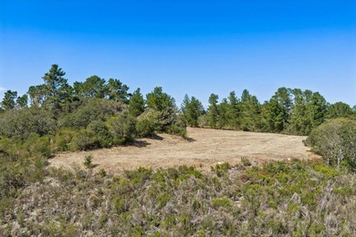 Imagine a blank canvas of 6.94+/- acres, where the beauty of the - photo 20