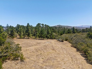 Imagine a blank canvas of 6.94+/- acres, where the beauty of the - photo 21
