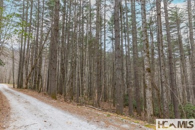 A blank canvas awaits you on this 35+/- acre unrestricted land - photo 23