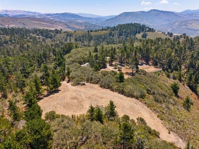 Imagine a blank canvas of 6.94+/- acres, where the beauty of the - photo 23