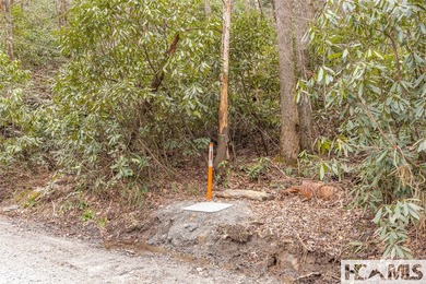 A blank canvas awaits you on this 35+/- acre unrestricted land - photo 24