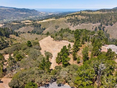 Imagine a blank canvas of 6.94+/- acres, where the beauty of the - photo 24