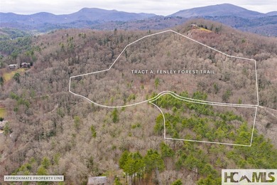 A blank canvas awaits you on this 35+/- acre unrestricted land - photo 25