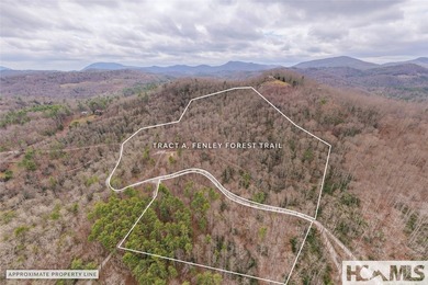 A blank canvas awaits you on this 35+/- acre unrestricted land - photo 26
