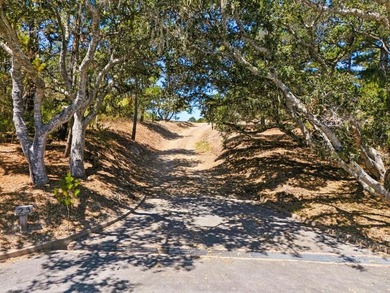 Imagine a blank canvas of 6.94+/- acres, where the beauty of the - photo 26
