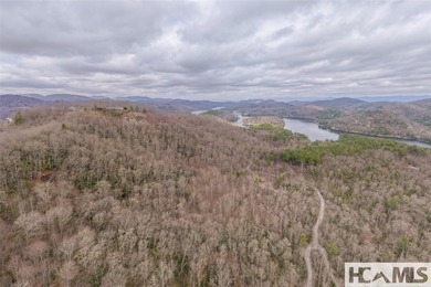 A blank canvas awaits you on this 35+/- acre unrestricted land - photo 28
