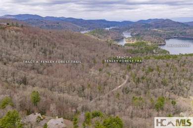 A blank canvas awaits you on this 35+/- acre unrestricted land - photo 29