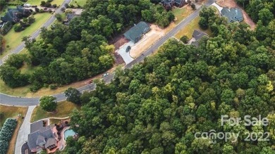 Lake Wylie Lot For Sale in York South Carolina