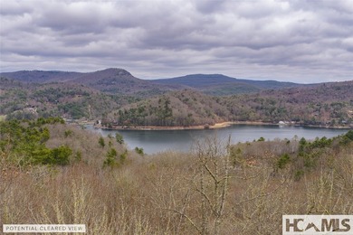 A blank canvas awaits you on this 35+/- acre unrestricted land - photo 33