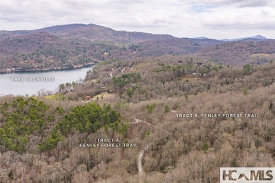 A blank canvas awaits you on this 35+/- acre unrestricted land - photo 34