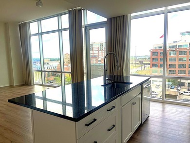 Modern Downtown Little Rock Condo - Urban living in the heart of - photo 6