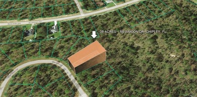 Blue Homestead Lake  Lot For Sale in Chipley Florida