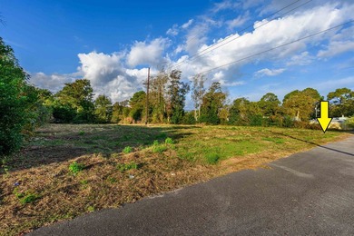 Check out this land available in Atlantic Beach - just a few - photo 11