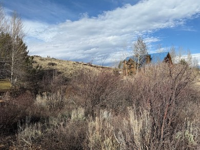 Beautiful 1.03 acre building lot located in Aspen Creek Estates - photo 15