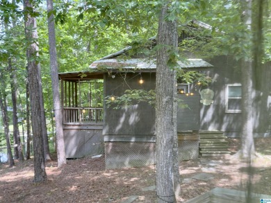 RARE Lay Lake retreat featuring TWO LIVING STRUCTURES and over - photo 32