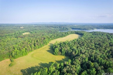 Lake Wilhelmena  Acreage For Sale in Mena Arkansas