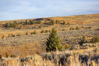 Bighorn Mountain Hideout is located deep in the Bighorn - photo 19