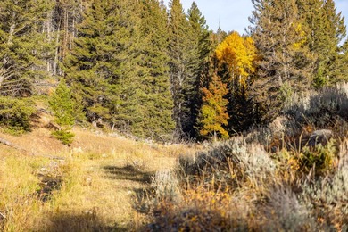 Bighorn Mountain Hideout is located deep in the Bighorn - photo 20