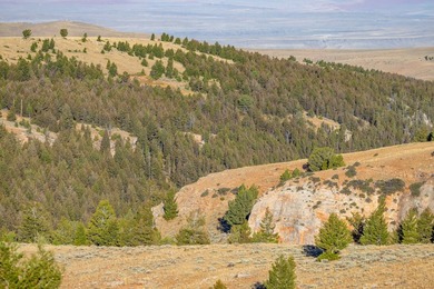 Bighorn Mountain Hideout is located deep in the Bighorn - photo 21
