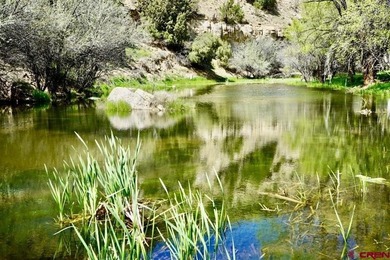 Greg Liddle, Hayden Outdoors LLC, C:,,: Totaling +/-2680 acres - photo 2