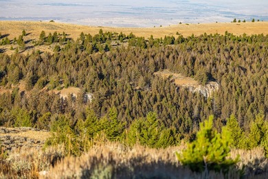 Bighorn Mountain Hideout is located deep in the Bighorn - photo 22