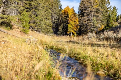 Bighorn Mountain Hideout is located deep in the Bighorn - photo 23